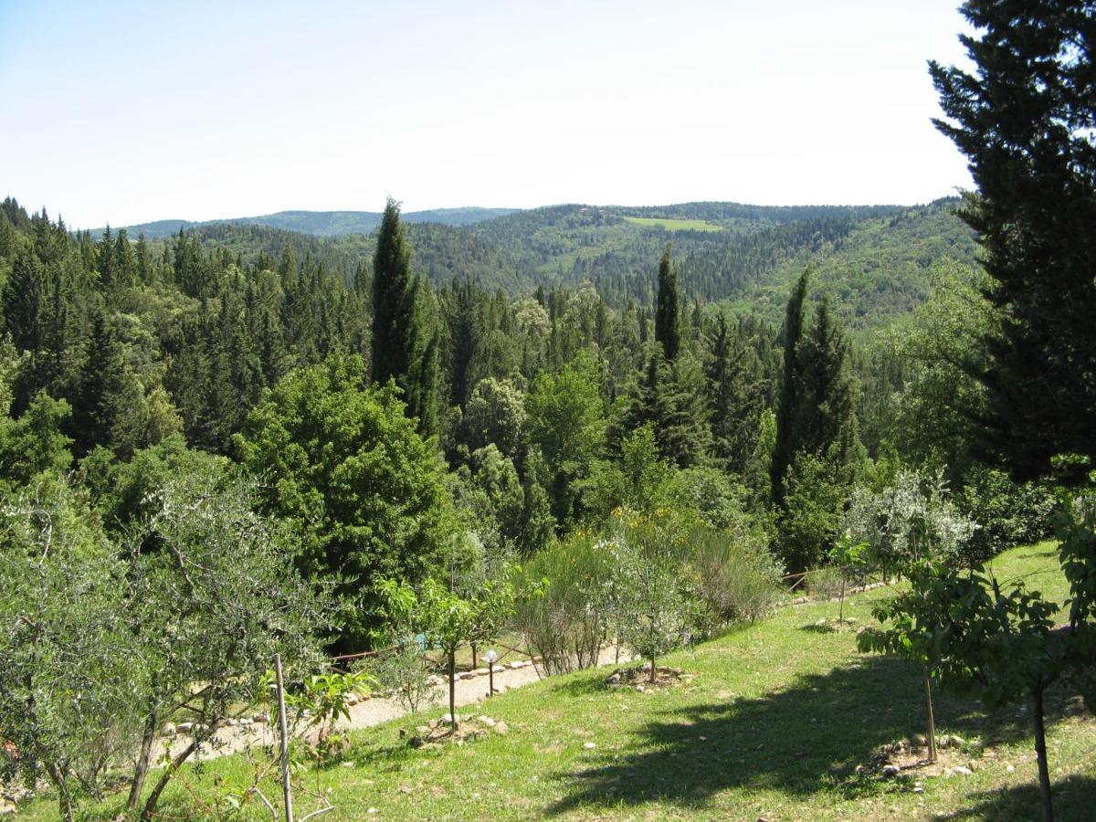 Tenuta La Cipresseta Apartment Monsanto Bagian luar foto